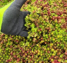 WhatsApp Image 2026-02-26 at 19.01.47